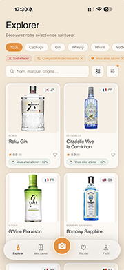 Vue iPhone d'ElixirPlace